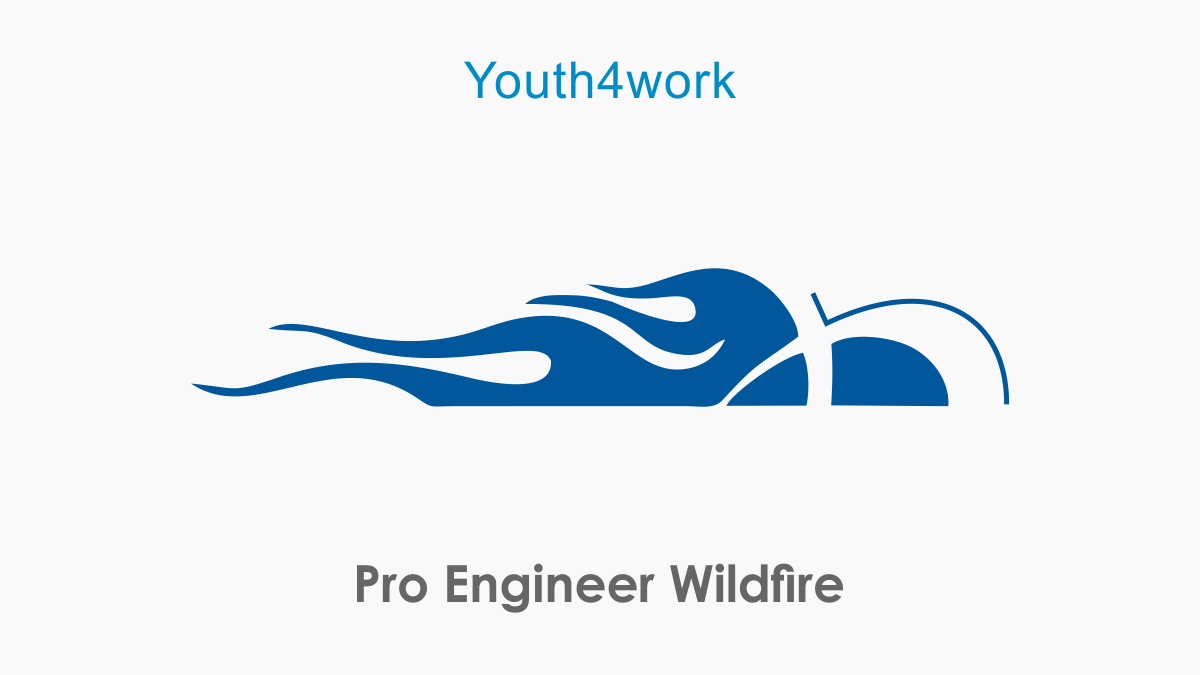 Pro Engineer Wildfire
