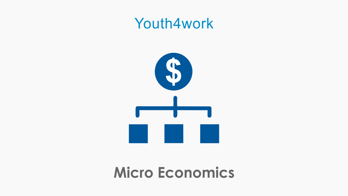 Micro Economics