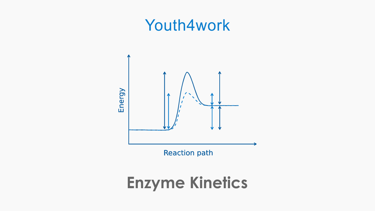 Enzyme Kinetics