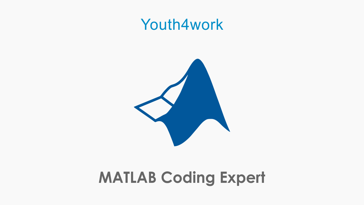 MATLAB Coding Expert