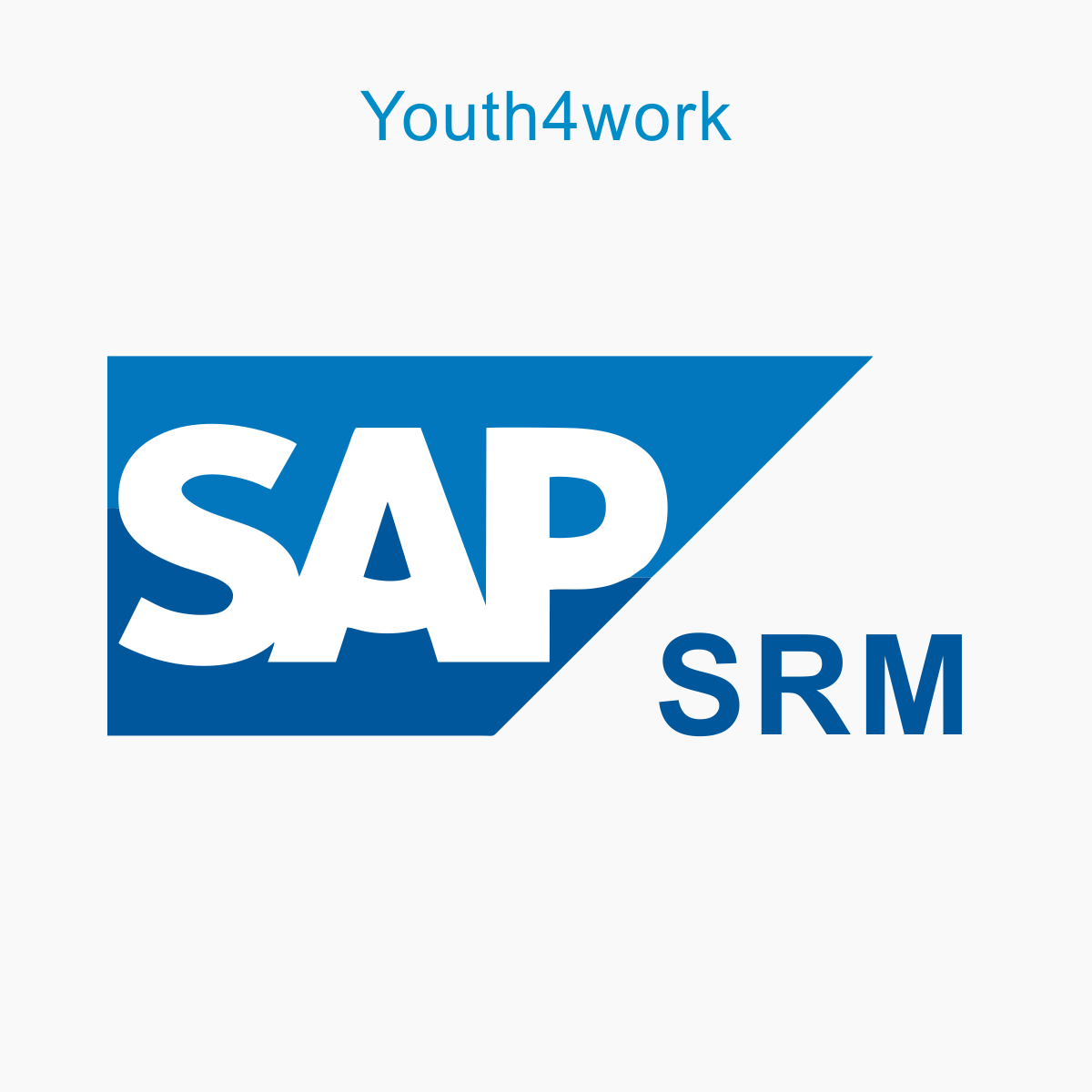 Системе sap srm. SAP SRM. SAP лого. Логотип SRM. SAP ERP логотип