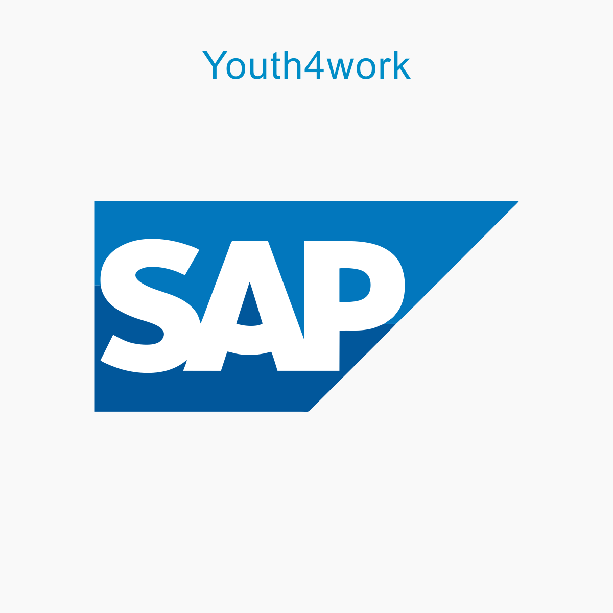 SAP Developer