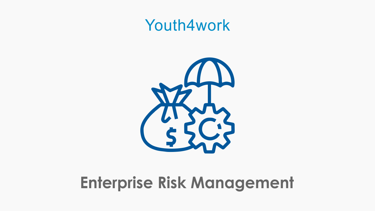 Enterprise Risk Management