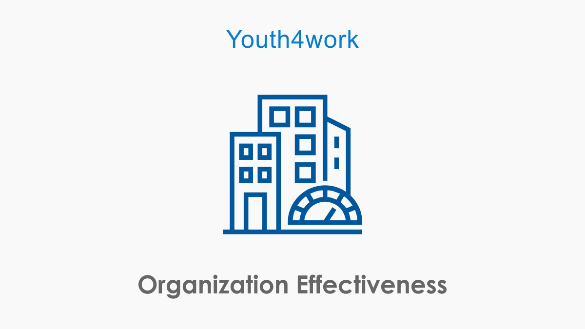 Organization Effectiveness