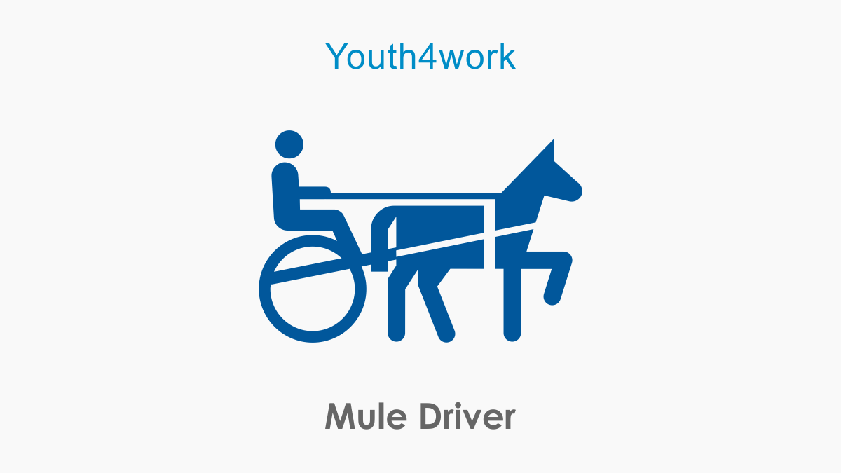 Mule Driver
