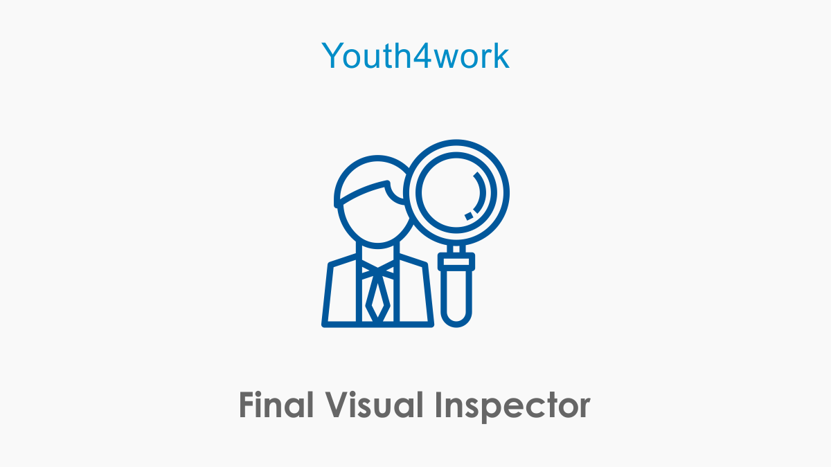 Final Visual Inspector