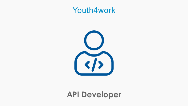 API Developer
