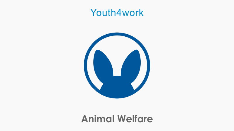 Animal Welfare