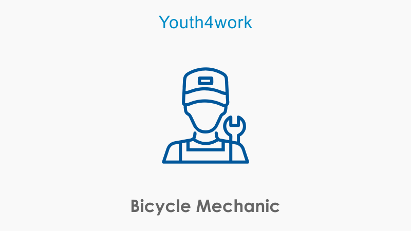 Bicycle Mechanic