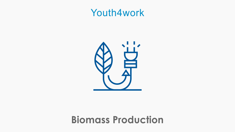 Biomass Production