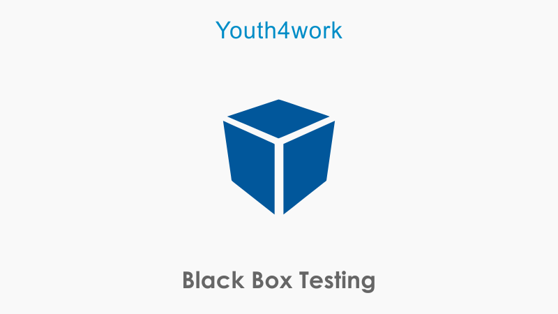 Black Box Testing