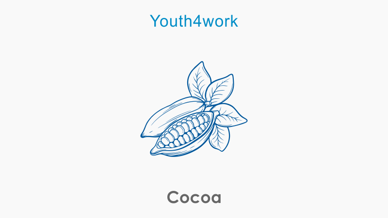 Cocoa