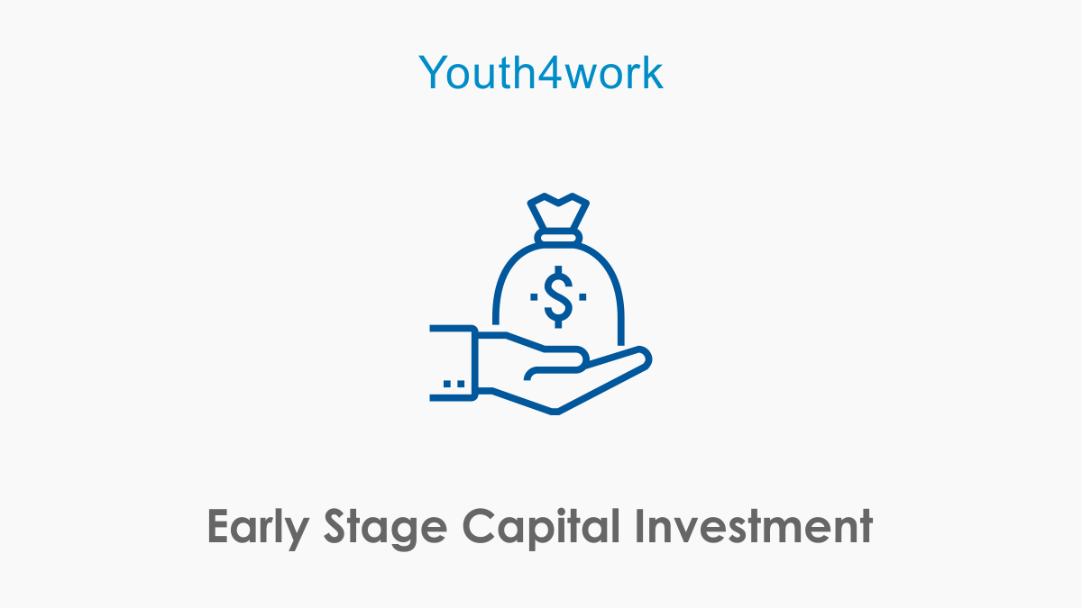 Early Stage Capital Investment