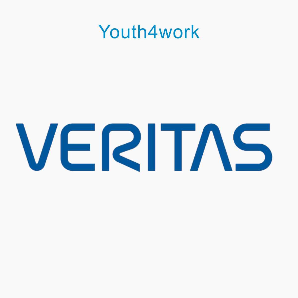Veritas Volume Management