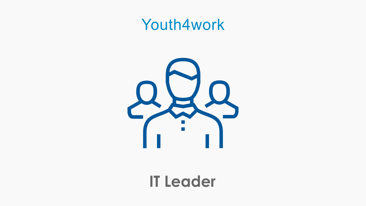 IT Leader