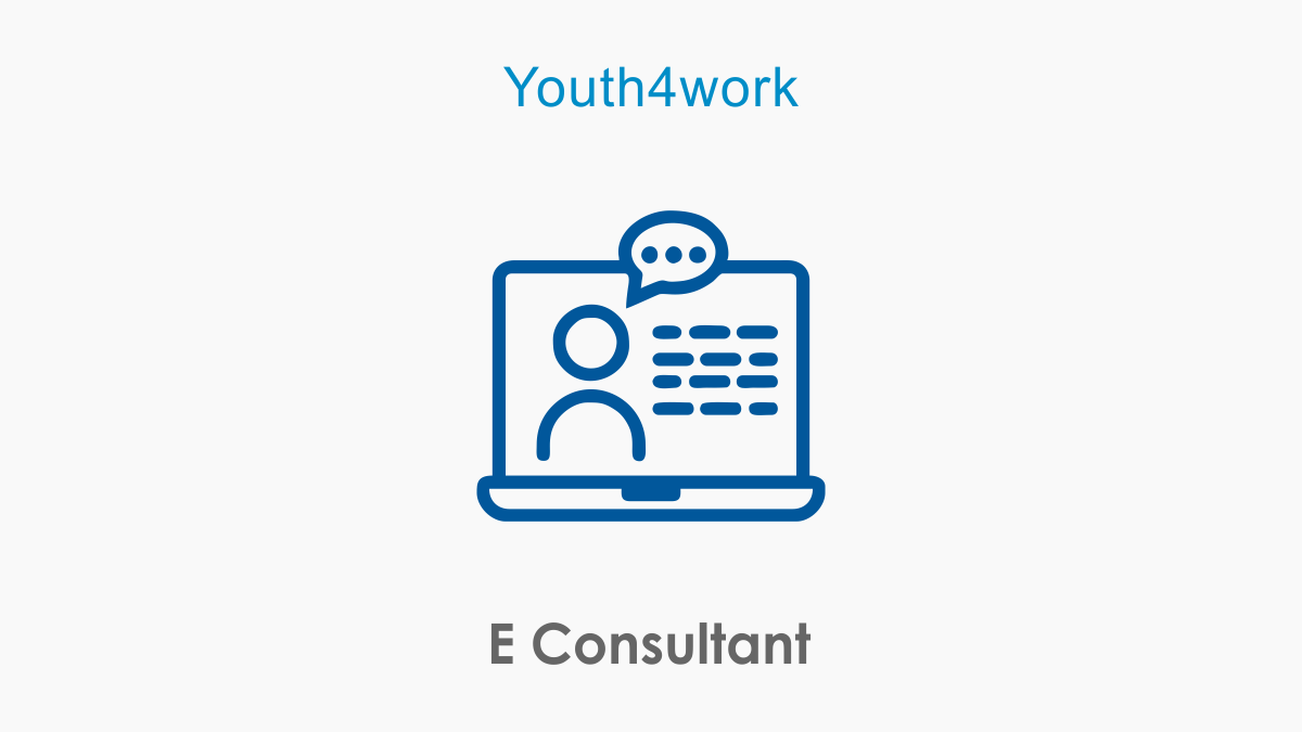 E Consultant