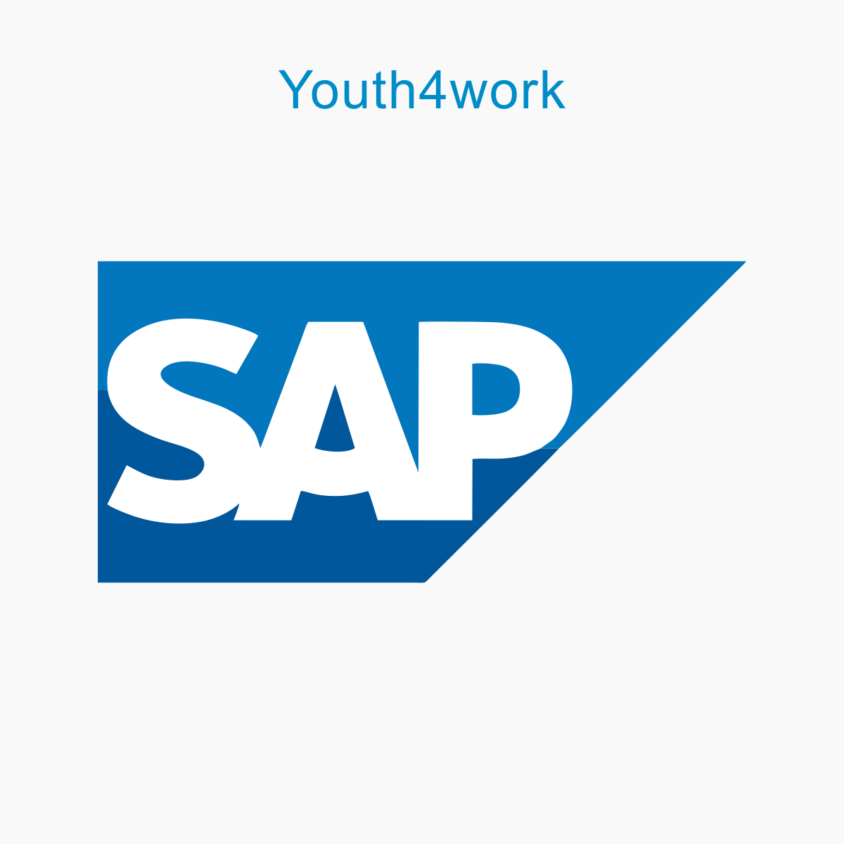 SAP Consultant