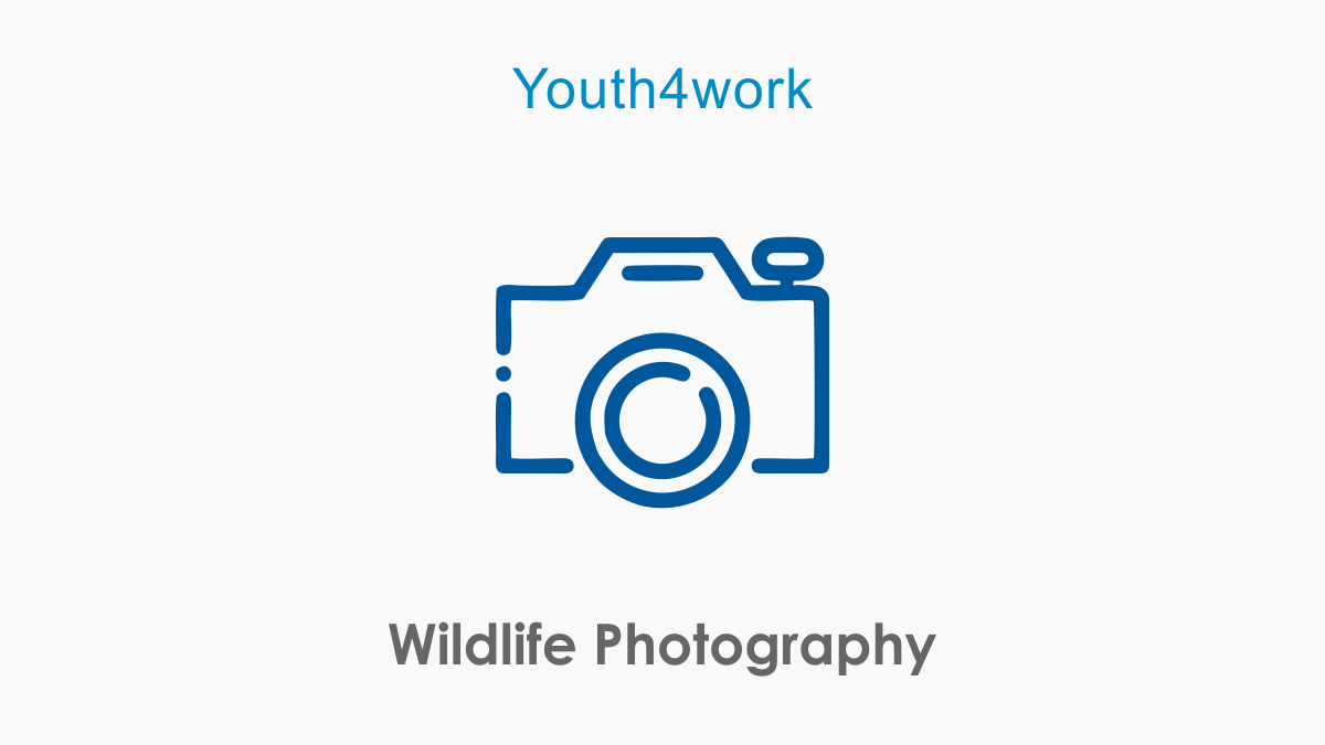 Wildlife Photography