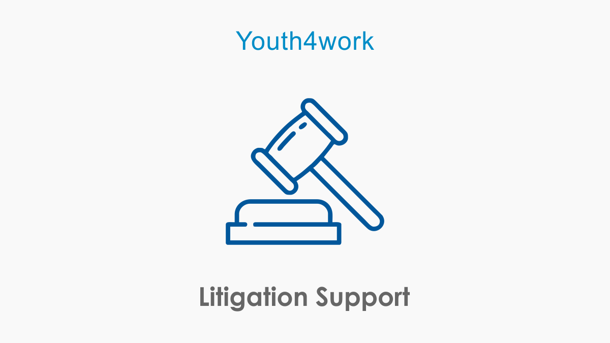 Litigation Support 