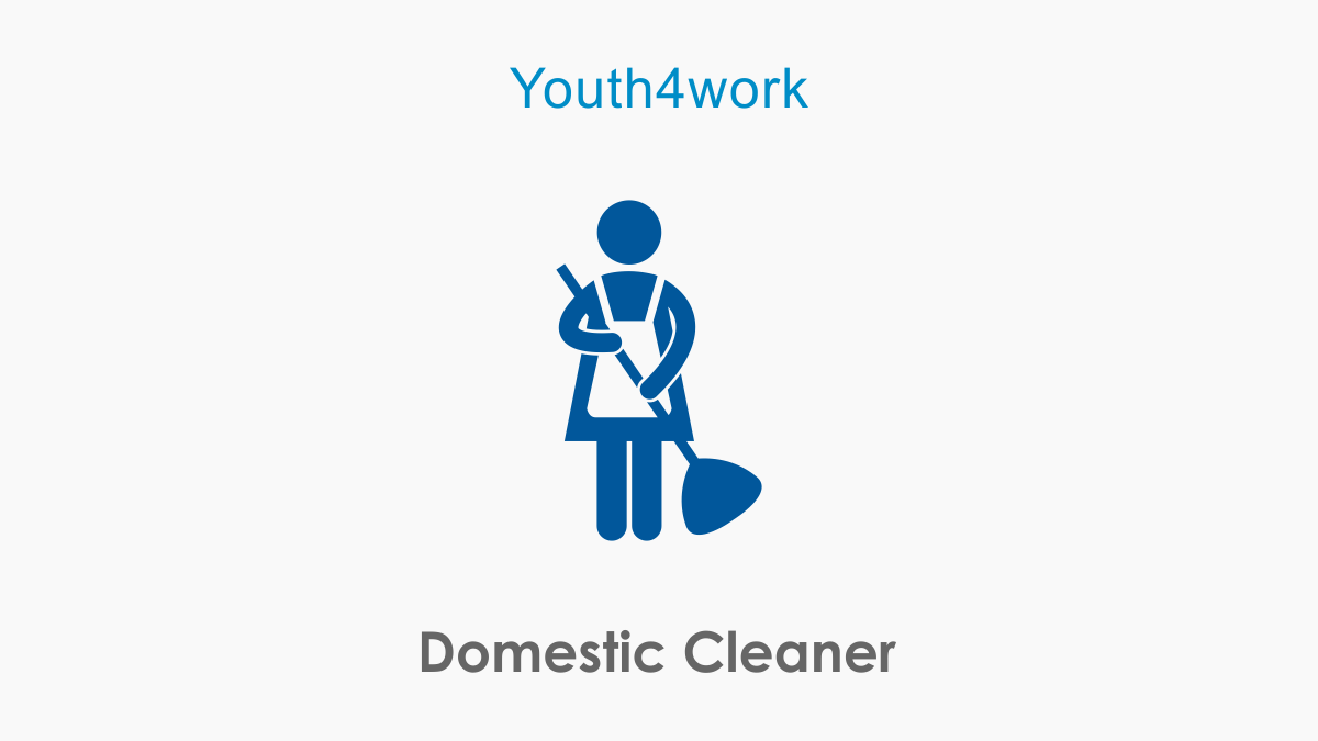 Domestic Cleaner