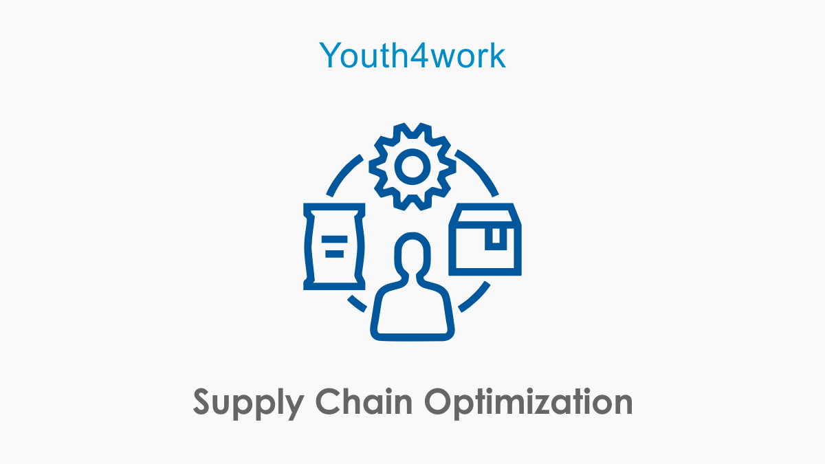 Supply Chain Optimization