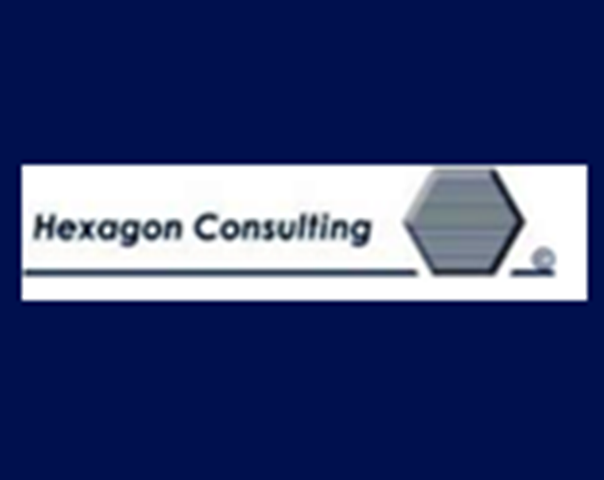 Hexagon Analysts  Consulting Services Pvt Ltd
