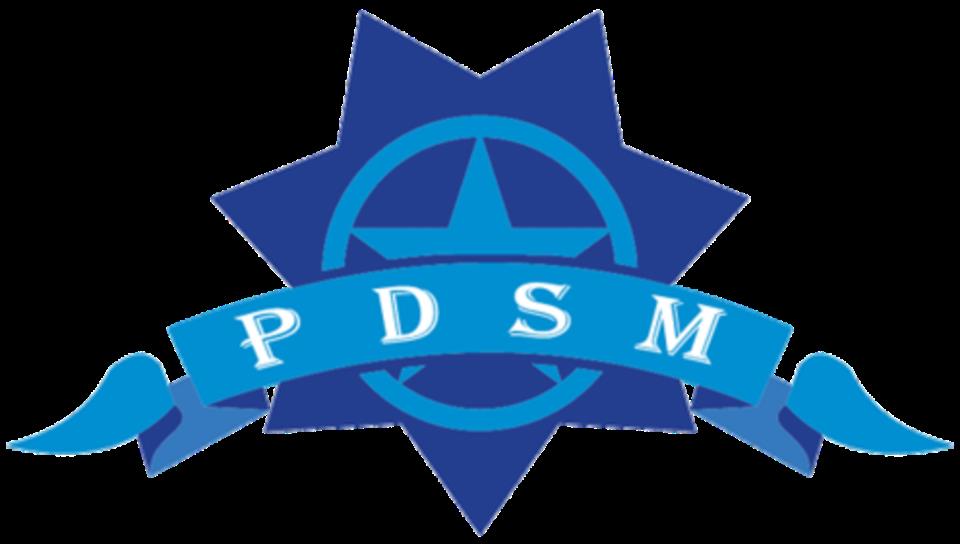 PDSM pvt ltd