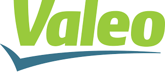 VALEO INDIA PVT LTD