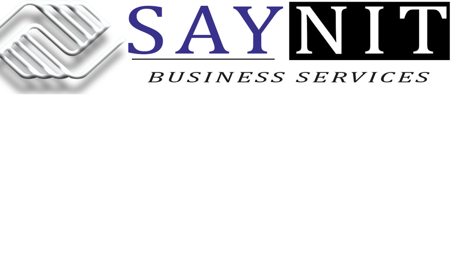 SAYNIT BUSINESS SERVICES PVT LTD