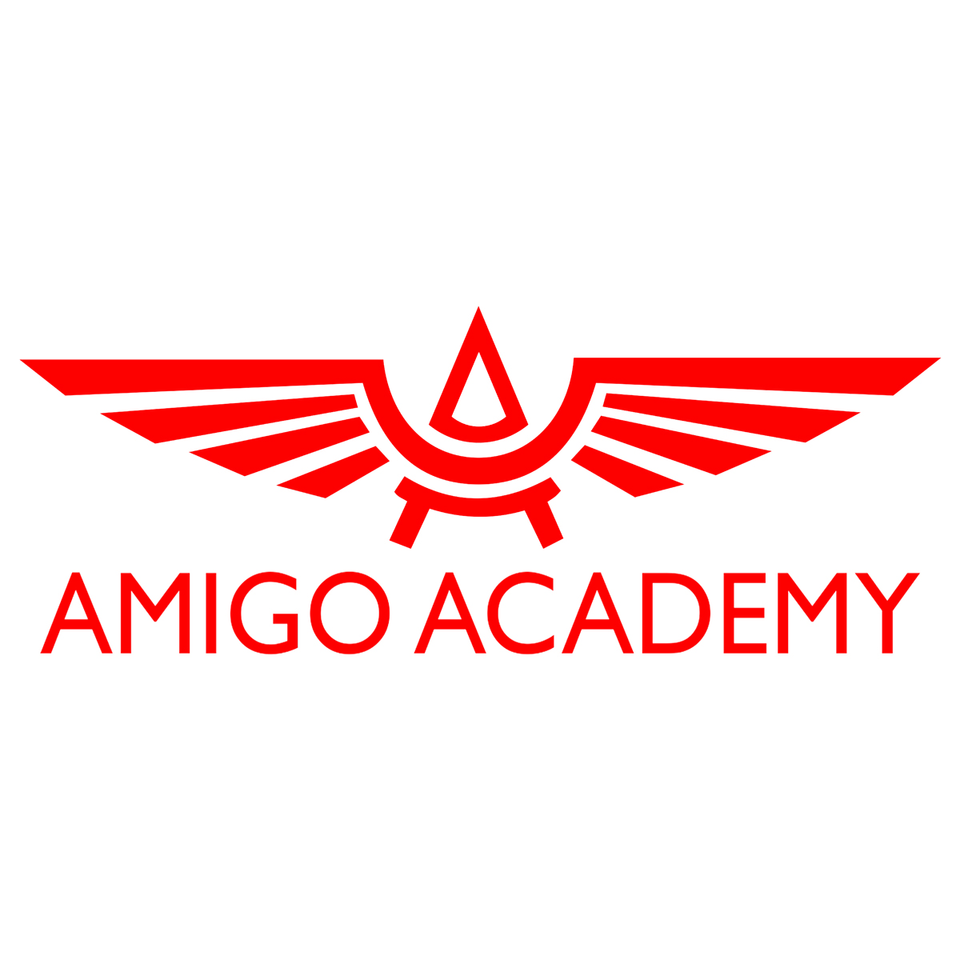 Amigo Academy  Institute of Air Hostess Training