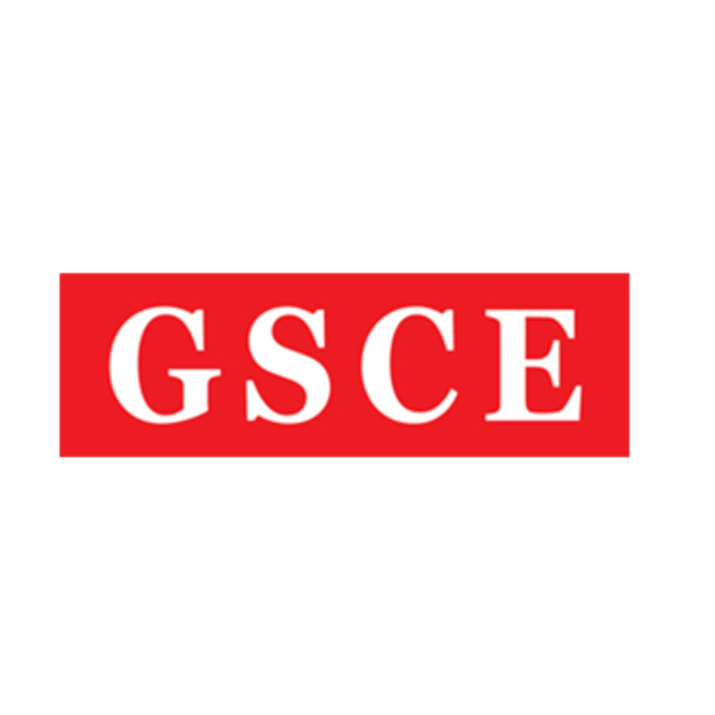George School of Competitive Exams