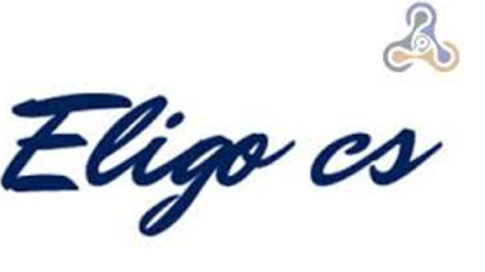 Eligo Creative Services