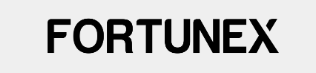 Fortunex Services Pvt Ltd