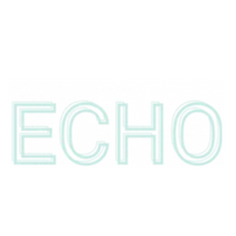 Echo Production Companies