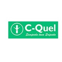 C Quel Management Services Pvt Ltd