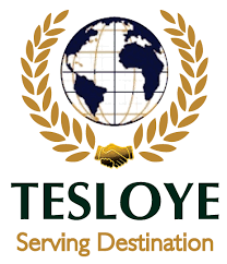 Tesloye Consultancy