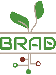 BradTechnology