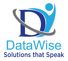 Merchant logo DATAWISE MANAGEMENT SERVICES INDIA P
