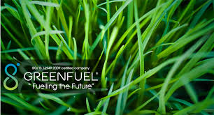Greenfuel