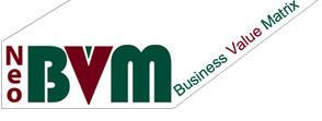 BVM Infotech Pvt. Ltd.