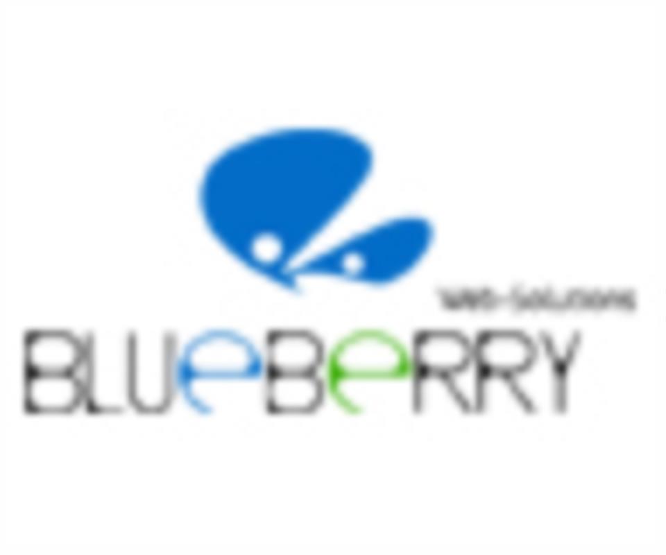 Blueberry Web Solution Pvt Ltd