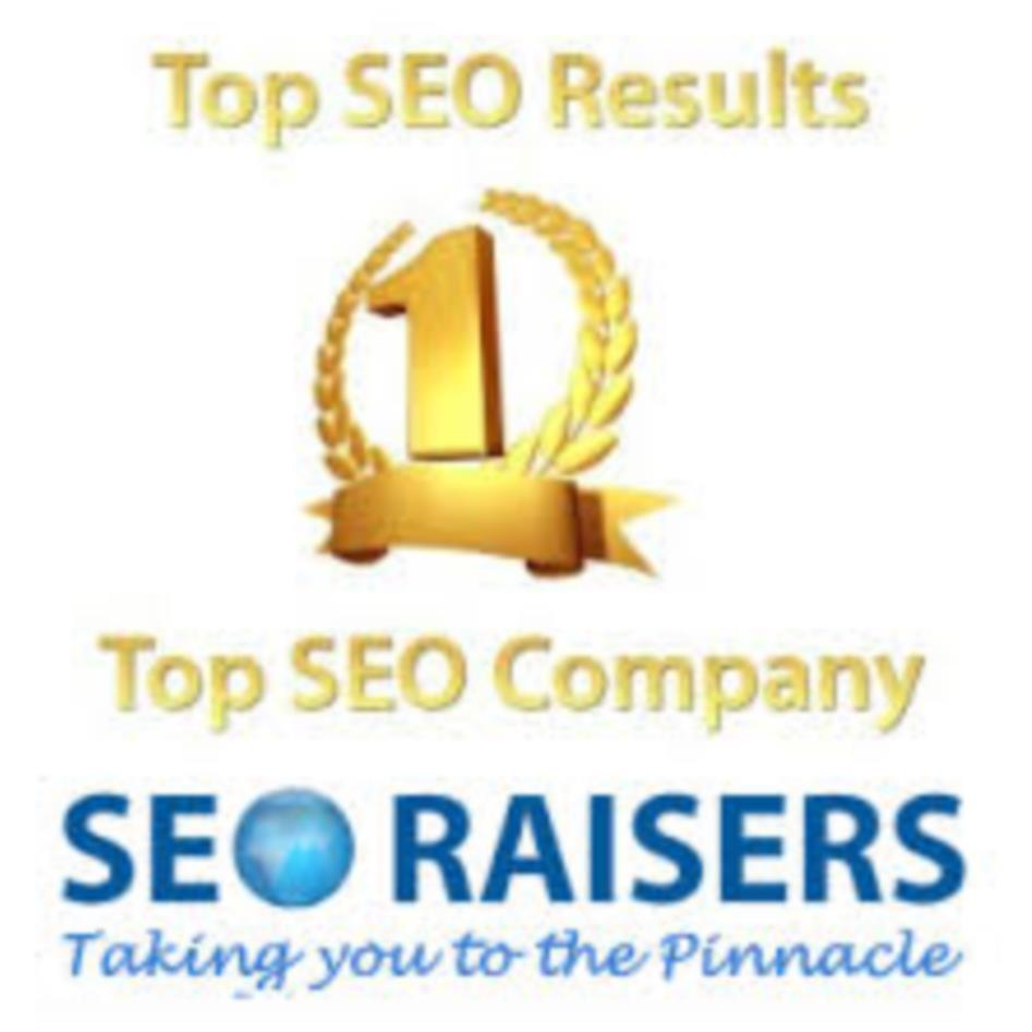 SEORAISERS TOP SEO Company in Chandigarh