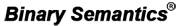 Binary Semantics Ltd