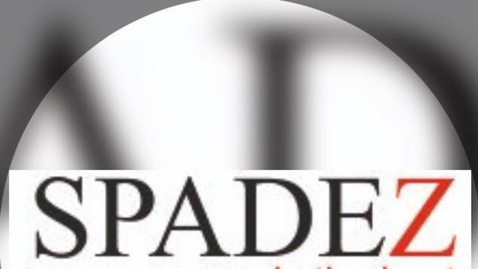 Spadez Solutions Pvt ltd