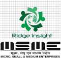 job in Ridge Insight Technoogy