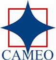 job in Cameo Corporate Services Ltd