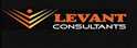job in LEVANT CONSULTANTS