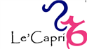job in LeCapri Market Research LLP