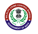 job in wildlife crime control bureau