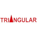 job in Triangular Infosolutions Pvt Ltd
